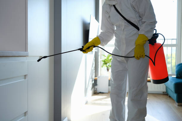 Best Insurance-Related Mold Remediation in Weston, MO