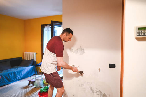 Best Basement Mold Remediation in Weston, MO